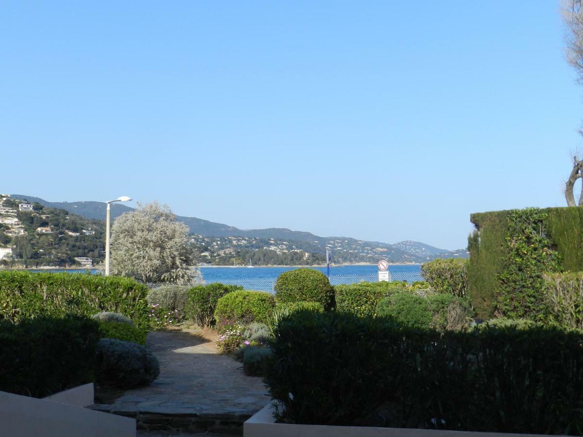 Appartement Les Pieds Dans L'Eau ! Le Lavandou Eksteriør billede