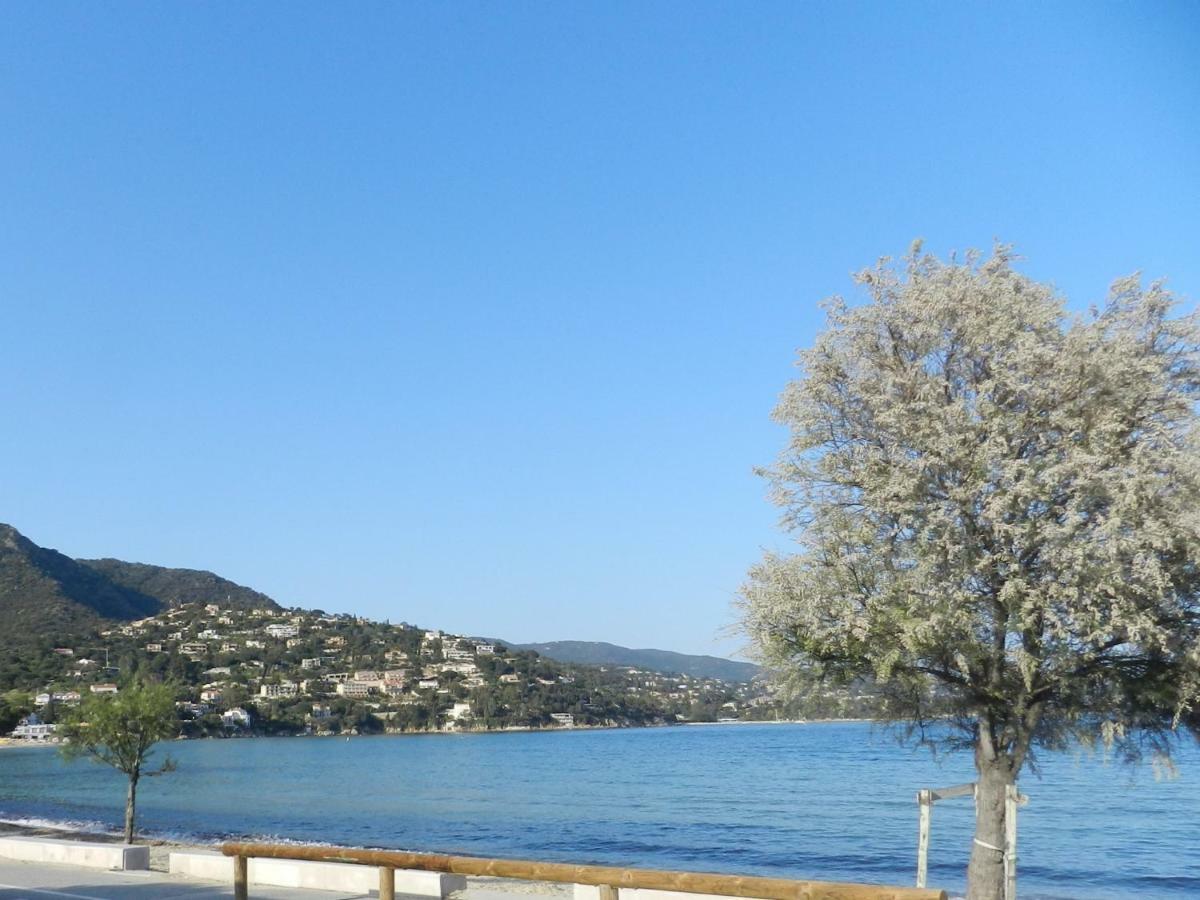 Appartement Les Pieds Dans L'Eau ! Le Lavandou Eksteriør billede